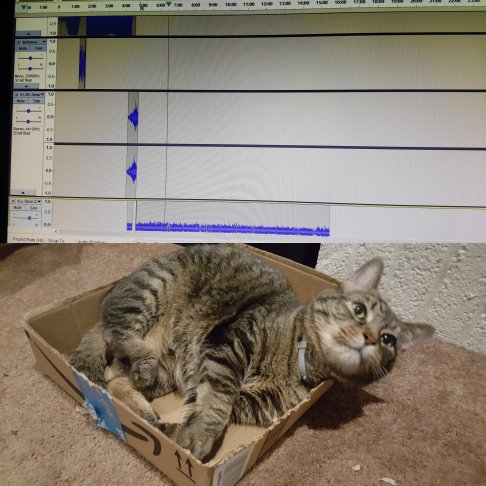 photo collage maker_jzuwc2789684795..png