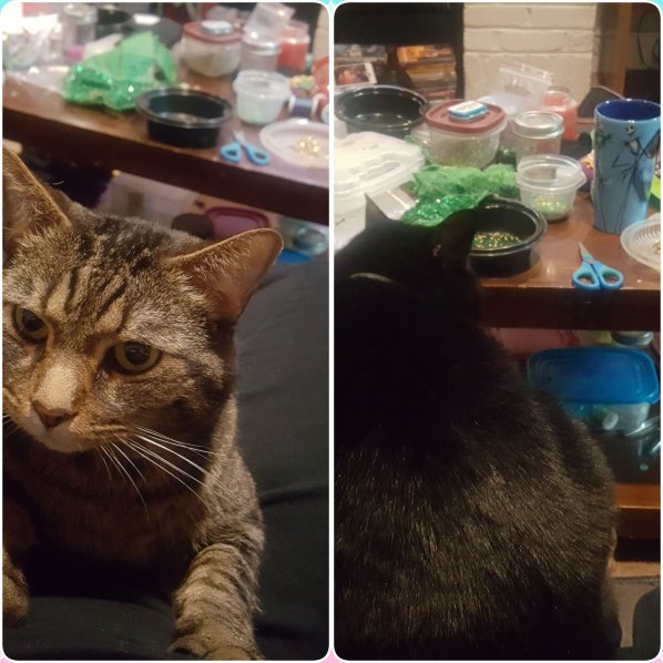 photo collage maker_vmhpnz1994892670..png